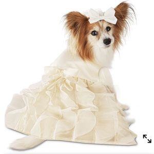 Wedding Dress Veil New Small Ivory White
Pet Dog Costume 
Halloween Bride